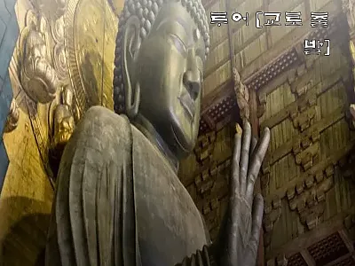 일본 고야산 일일 투어 (교토 출발) 관련 이미지